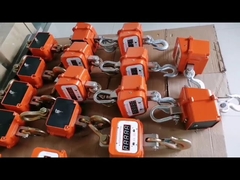 3000kg 디지털 서식 크레인 스케일